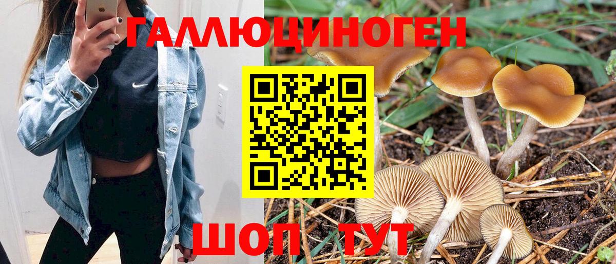 Новозыбков  Псилоцибиновые грибы GOLDEN TEACHER  Галлюциногенные грибы GOLDEN TEACHER  Вход с VPN 